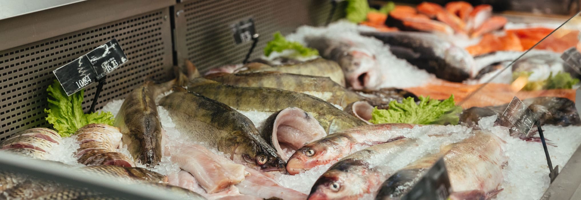 get started with lithos pos poultry software