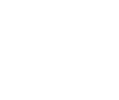 lithos pos online sales integrated pos